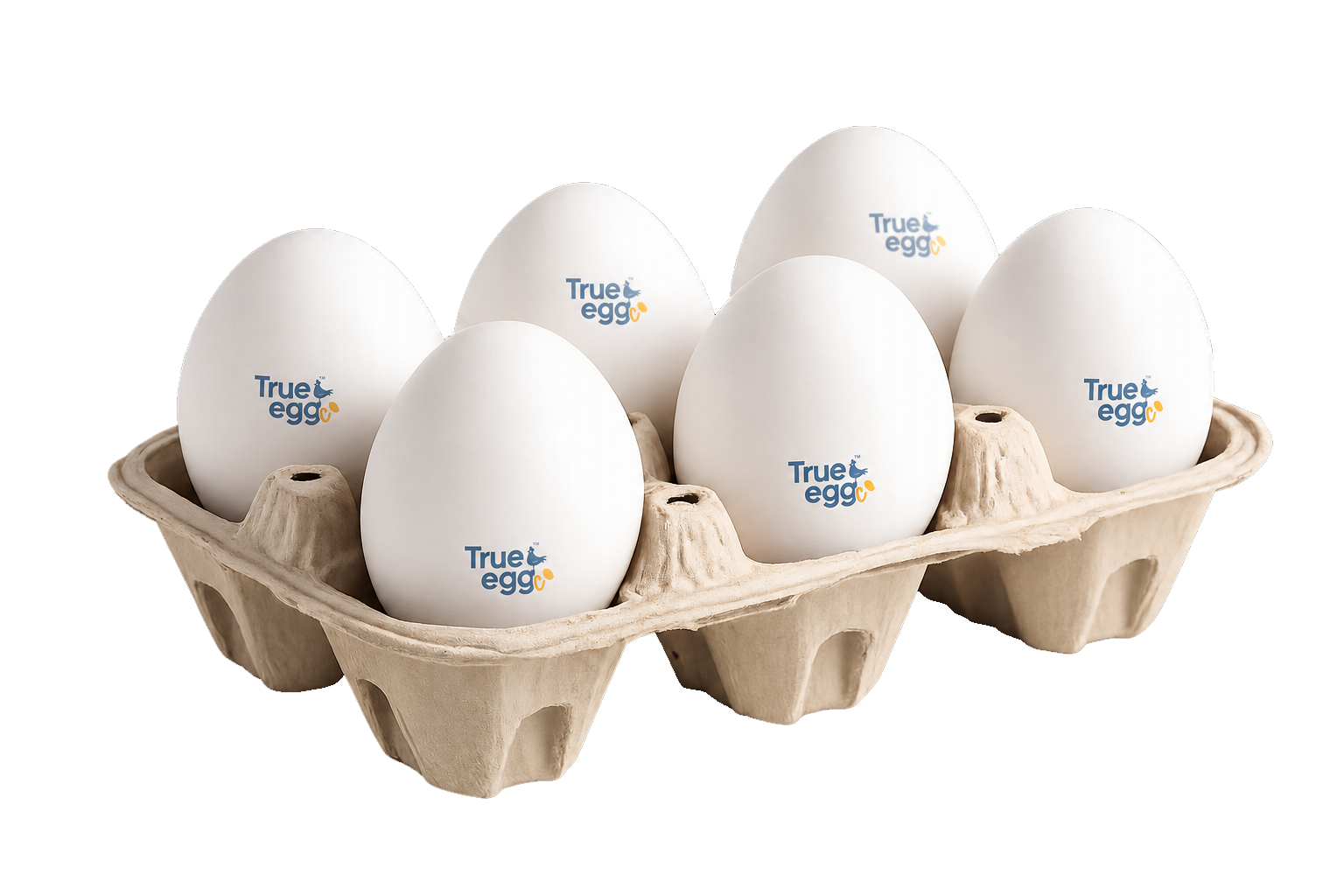 Half dozen TrueEgg carton