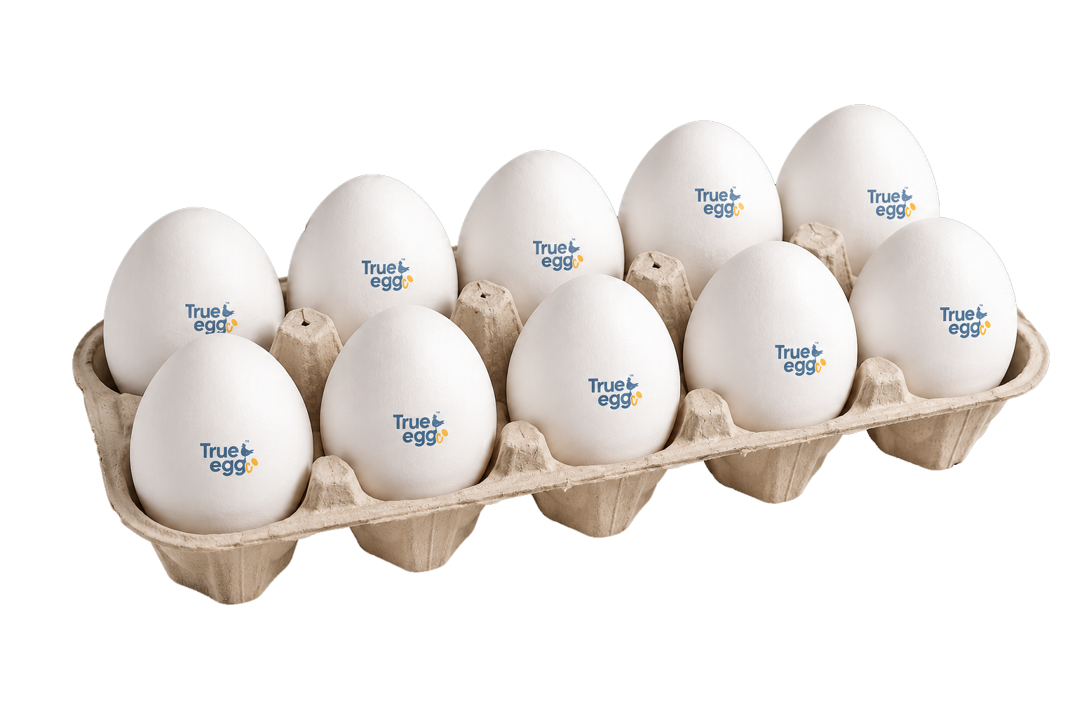 Ten pack TrueEgg carton